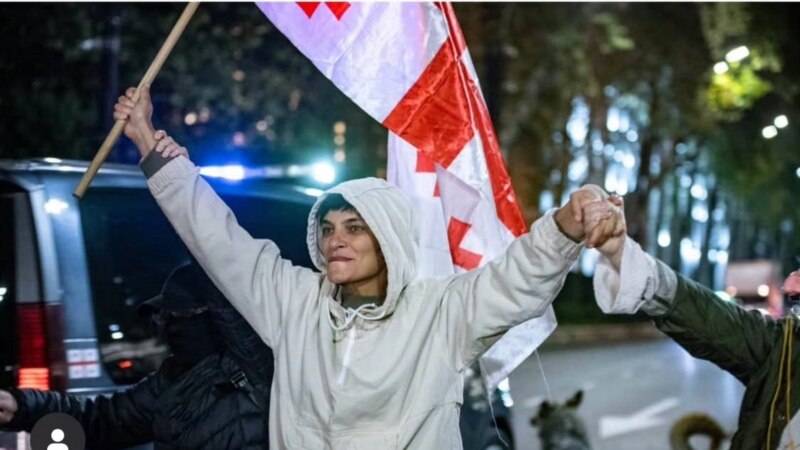 აქტივისტ ანა გამსახურდიას ორდღიანი ადმინისტრაციული პატიმრობა შეეფარდა