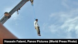 عکس جنبه تزئینی دارد