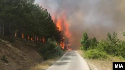 Илустрација: Пожар во Кокино, кај Старо Нагоричане, кумановско. 