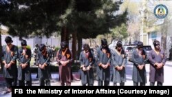 ده تروریست طالب که به اتهام کشتار هدفمند از سوی پولیس بازداشت شده اند.
