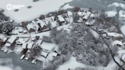 Cнегопады в Европе: наводнение на Балканах, отмена рейсов из Амстердама, белые медведи в Будапеште впервые видят снег