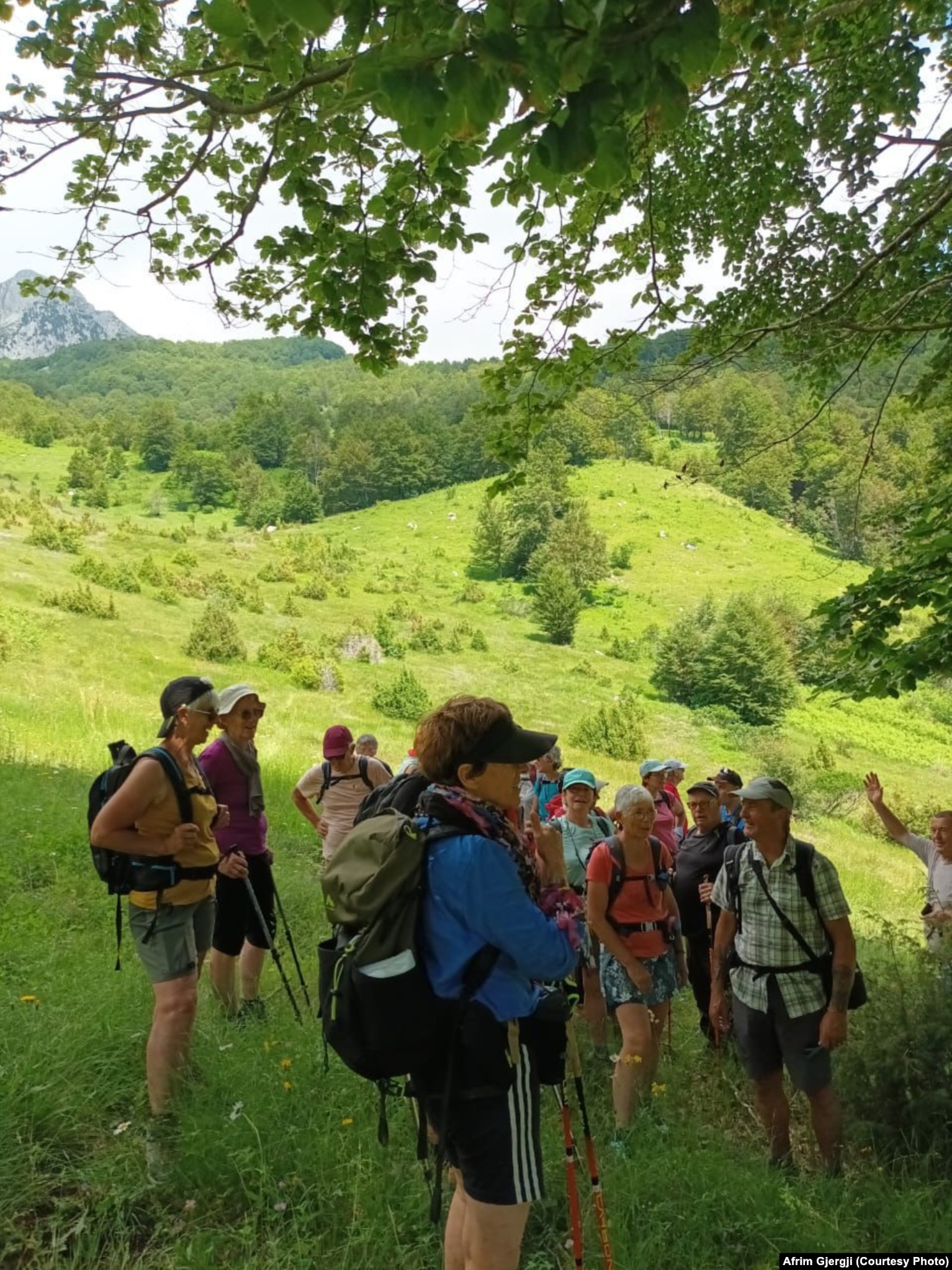 Turistët e huaj në Shtegun e Gështenjave.