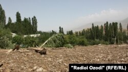 Минтақаи рашт, акс аз бойгонӣ