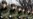 Asia: Is China Becoming A Regional Military Threat?