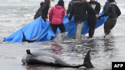 Иллюстративное фото