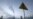 Opposing Views | Should NATO Take Up Energy Cause?