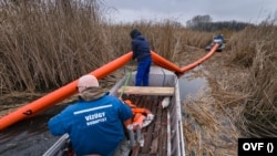 Az Országos Vízügyi Főigazgatóság munkatársai Ráckevei (Soroksári)-Duna-ágat veszélyeztető olajszennyeződést távolítják el Szigetszentmiklóson, 2020. december 13-án. Fotó: OVF