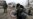 Russia OKs Use Of Force In Ukraine