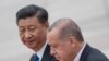 Presidenti kinez, Xi Jinping dhe homologu i tij turk, Recep Tayyip Erdogan.