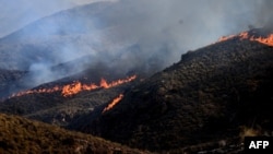 Flakët përfshijnë një kodër gjatë një zjarri pyjor pranë Bedarit, në distriktin e Bedarit, në provincën Almeria, në jug të Spanjës, më 10 korrik 2026.