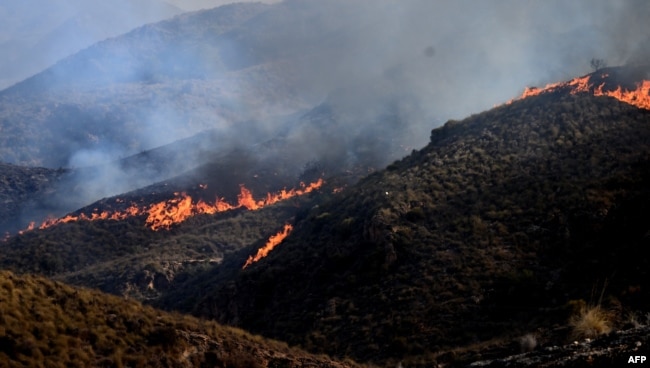 Flakët përfshijnë një kodër gjatë një zjarri pyjor pranë Bedarit, në distriktin e Bedarit, në provincën Almeria, në jug të Spanjës, më 10 korrik 2026.