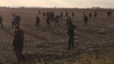 Refugees Clash With Police Along Serbian-Croatian Border