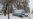 Задержание уроженки Чечни в Казахстане и отказ в митинге о гибели в полиции в Махачкале