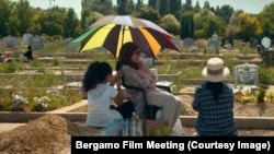 Документальный фильм "Наблюдающие" снят на кладбище в Брюсселе