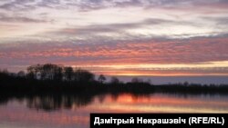 Рака Прыпяць. Пагост, Жыткавіцкі раён. Аўтар Дзмітрый Некрашэвіч