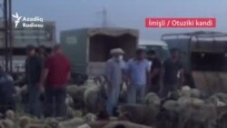 Mal bazarında 'ağlaşma': 'Toy yox, heyvan alan yox'