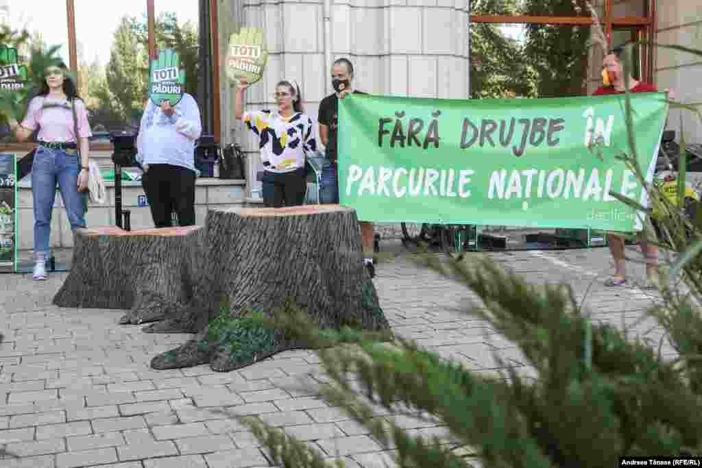 În România se găsesc circa două treimi din pădurile virgine ale Europei, majoritatea protejate în cadrul programului Natura 2000.&nbsp;