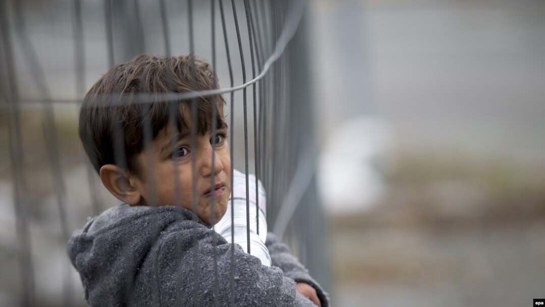 Migranti na slovenačko-austrijskoj granici, oktobar 2015.