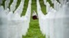 Bosnia and Herzegovina - Bosnian Muslim women react near the coffin of one of the 35 identified victims of the 1995 massacre, at the memorial centre of Potocari near Srebrenica, 150 kms north east of Sarajevo, Bosnia, Wednesday, July 11, 2018. Thousands o