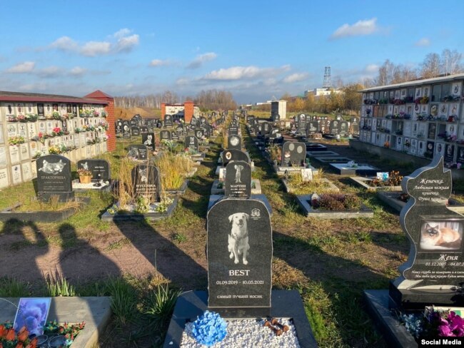 Городское кладбище домашних животных, Санкт-Петербург