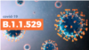 Новий штам коронавірусу має велику кількість мутацій, деякі з яких викликають тривогу ВООЗ