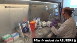 آزمایش‌ها برای ساخت واکسین ضد ویروس کرونا توسط شرکت فایزر