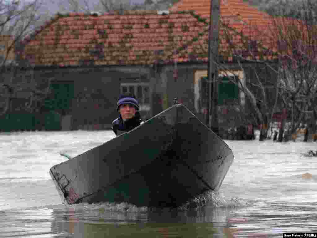 Ponari, 06.12.2010. Foto: Savo Prelević 