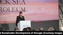 მაკა ასათიანი ქარხნის პროექტის პრეზენტაციაზე