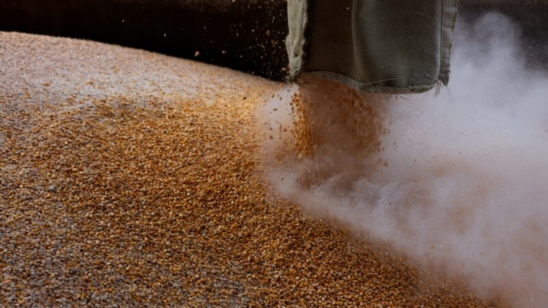 Ukrajina uspostavlja koridore za izvoz žitarica 