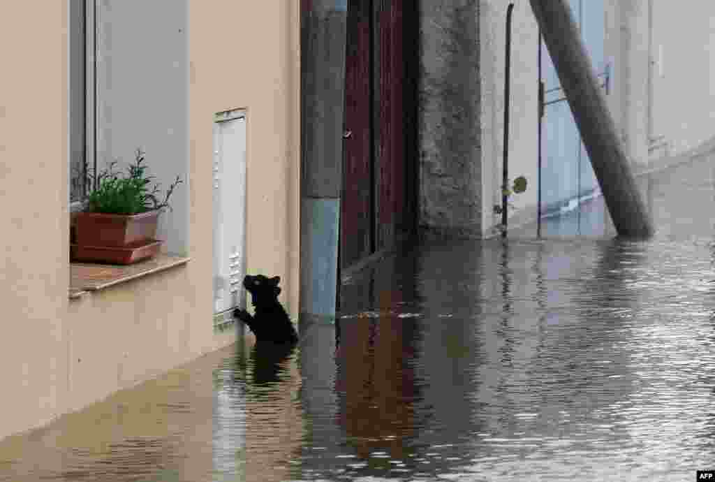 Češka - Melnik, 4. juni 2013. Foto: AFP / Michal Čižek 