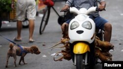 Ilustrativna fotografija