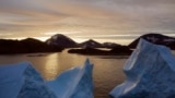 Climate Report