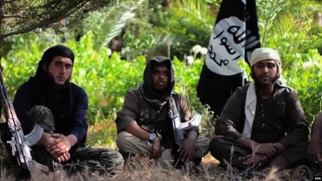 Tarfa Baghajati says young people who go to join Islamic State in Syria and Iraq "do not see themselves as being part of this [Western] society: they were not brought up to blend in in a positive way."