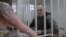 Трехразовое питание Оюба Титиева