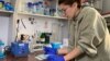 Українську вакцину від COVID тестують на мишах у Польщі