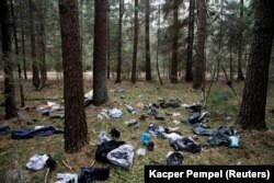 Migránsok holmija az erdőben a belarusz–lengyel határ közelében a lengyelországi Hajnówkában 2021. október 28-án