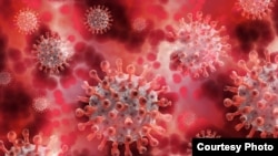 A szennyvízben a koronavírus koncentrációja magas szinten stagnál, de a regisztrált fertőzöttek száma folyamatosan csökken Magyarországon.