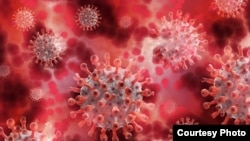 COVID-19 virus ilustration. 