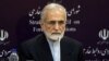 Kamal Kharrazi, a top foreign policy aide to Iran's supreme leader (file photo)