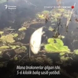 Men bir qizni uzoq vaqt opaman va mening qolim tushib ketadi.