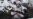 Talk Of War: Frontline Ukrainian Soldiers Respond To Invasion Warnings