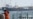 Spill, Dolphin Deaths Spark Alarm At Persian Gulf Pollution