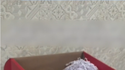 Собяниннен себет алған қазақ қызы сынға қалды