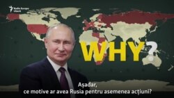 Lunga listă a țărilor care acuză Rusia de amestec în alegeri