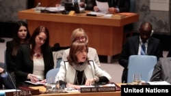 Mirsada Colakovic, Bosnian Ambassador to the UN, addresses the Security Council meeting on the situation in her country, at the United Nations, New York, November 11, 2014