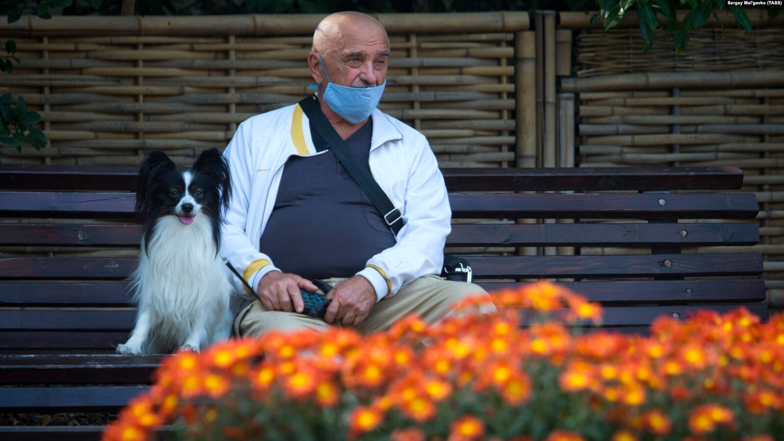 e1f1cdeb-0576-4e1e-9cb9-6f0140d995c2_w15