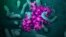 Imagine surprinsă la microscop electronic cu SARS-Cov2