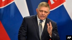 Slovakia stopped military aid to Ukraine after populist politician Robert Fico became prime minister in October 2023. (file photo)