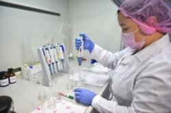 Коронавирусты анықтайтын зертхана қызметкері. Көрнекі сурет.