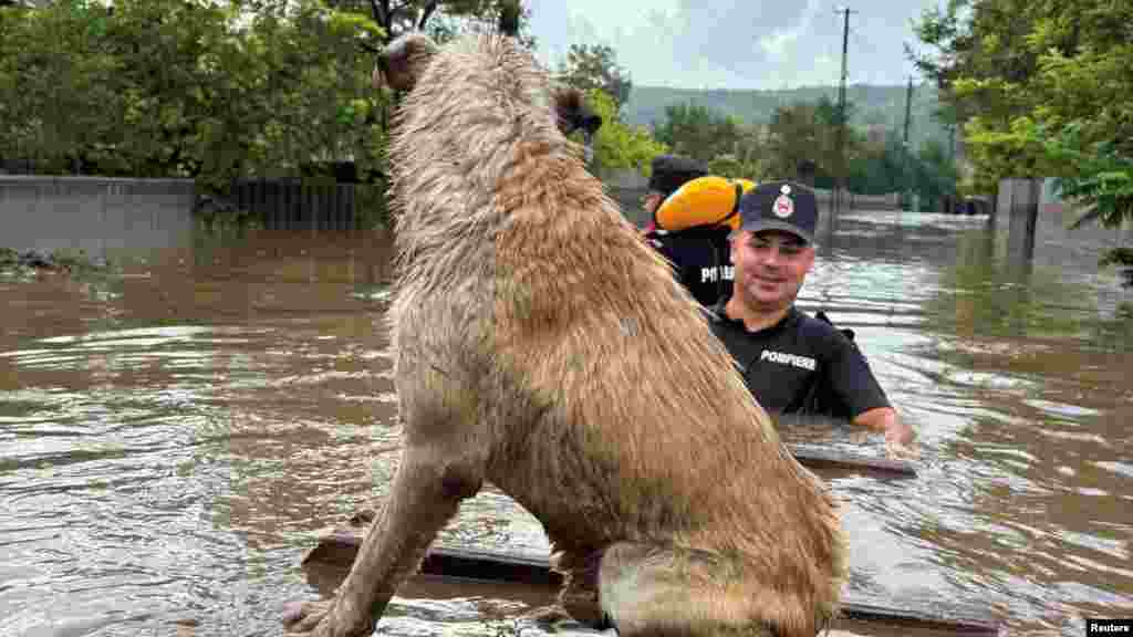 Rescuers evacuate a dog in Dudalbi, Romania.